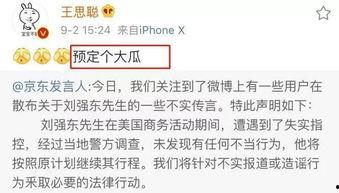 娱乐圈吃瓜论文,揭秘明星背后的真相与八卦  第2张