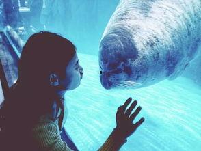 海洋最新爆料视频播放,最新爆料视频揭秘神秘海洋生物 第3张 海洋最新爆料视频播放,最新爆料视频揭秘神秘海洋生物 第3张